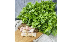 Петрушка свежая
